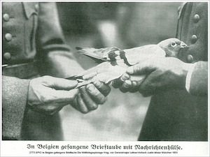 Foto: 2773 SPIO In Belgien gefangene Brieftaube Die Weltkriegsspionage Hrsg. von Generalmajor Lettow-Vorbeck Justin Moser München 1931 via photopin (license)