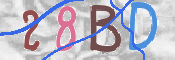 CAPTCHA-Bild
