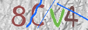 CAPTCHA-Bild