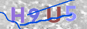 CAPTCHA-Bild
