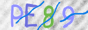 CAPTCHA-Bild