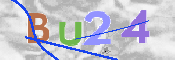 CAPTCHA-Bild
