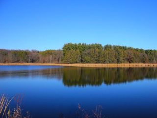 Tümpel, See und Teich Wo ist der Unterschied?